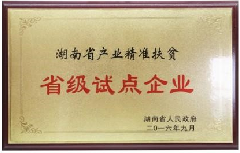 精準扶貧省級試點企業(yè)